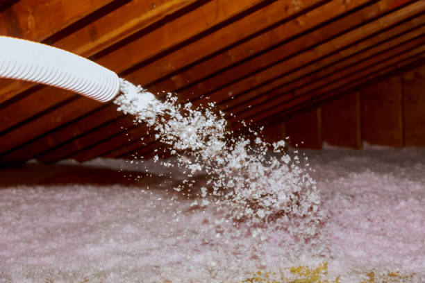 Best Residential Insulation in Mount Pleasant, SC