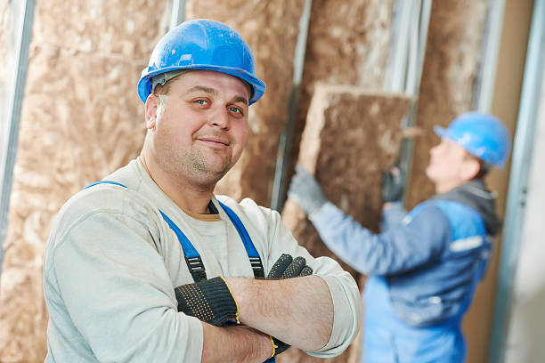 Best Insulation Installation Services in Mount Pleasant, SC